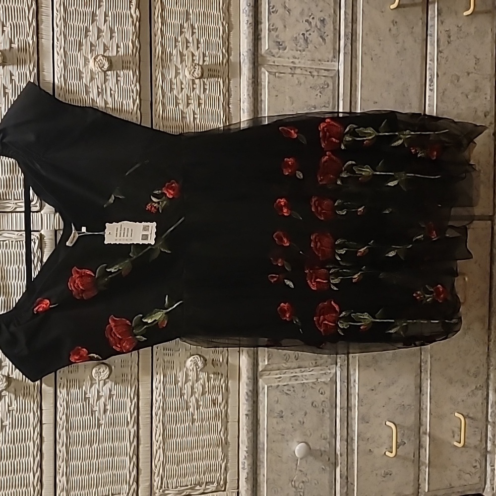 Roiii womens dress NWT